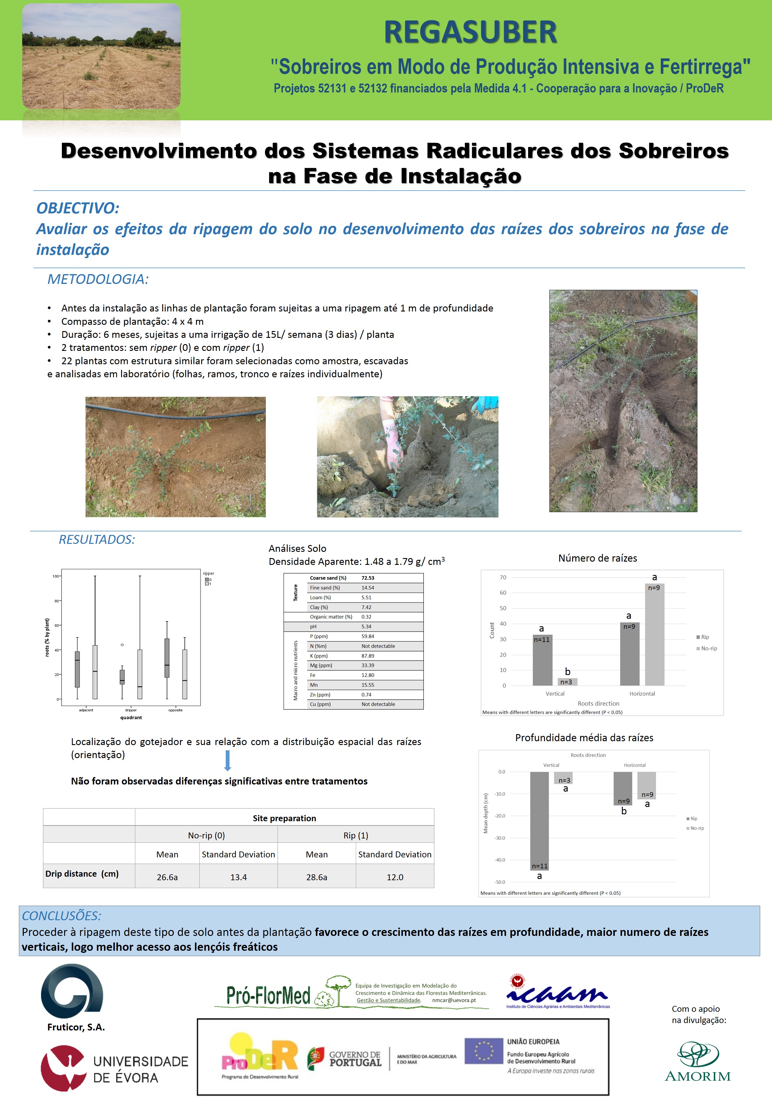 POSTER REGASUBER DESENVOLVIMENTO DAS RAIZES